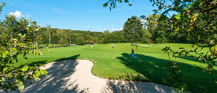 an overview of golf clubs an overview of golf clubs