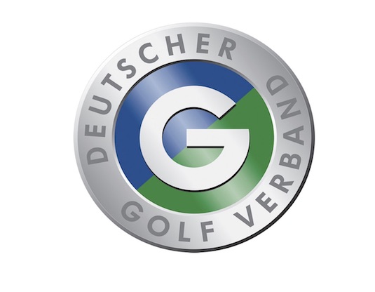 DGV Logo TEASER