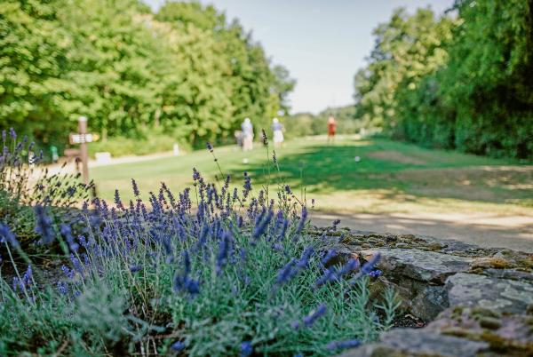 GolfClubNeuhof HG 15