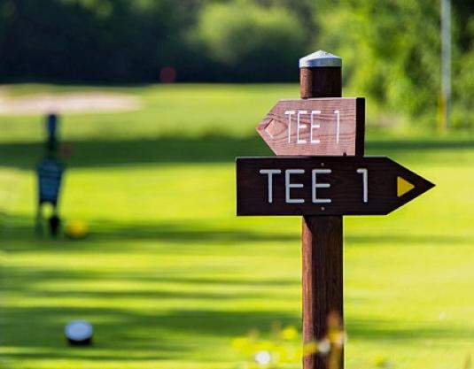 Tee 1 Teaser