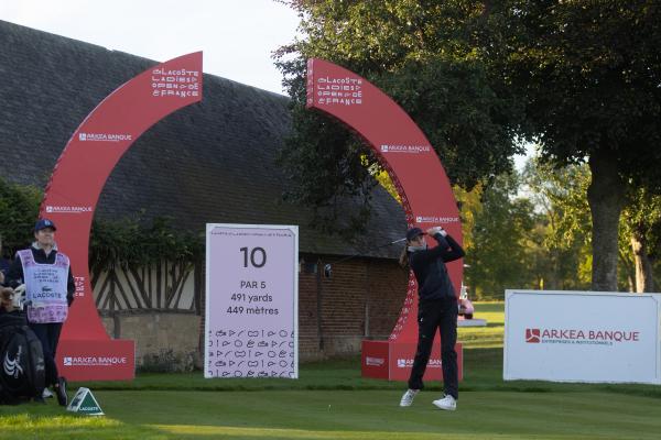 54811423343 5d7ab4dc92 k