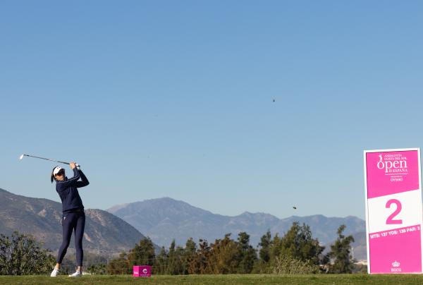 54949145727 a6a62934d3 o